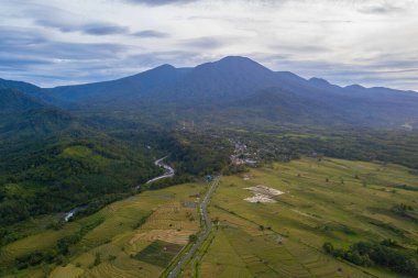 Sabahları hava manzaralı, güzel sisli bir sabah.