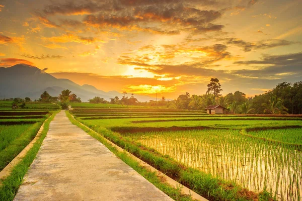 早上美丽的风景 印度尼西亚美丽的乡村自然 — 图库照片
