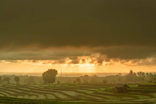 Pohled Večer Kdy Prší Rýžových Polích Svítí Západ Slunce — Stock fotografie