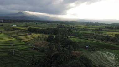 Beautiful morning view indonesia Panorama Landscape paddy fields with beauty color and sky natural light