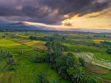 Beautiful morning view indonesia Panorama Landscape paddy fields with beauty color and sky natural light