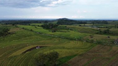Beautiful morning view indonesia Panorama Landscape paddy fields with beauty color and sky natural light