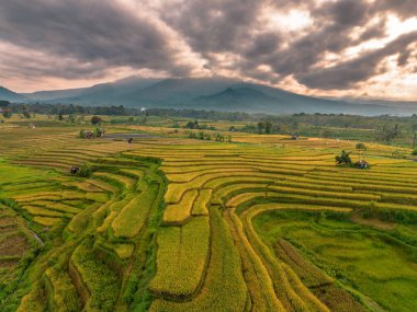 Beautiful morning view indonesia Panorama Landscape paddy fields with beauty color and sky natural light