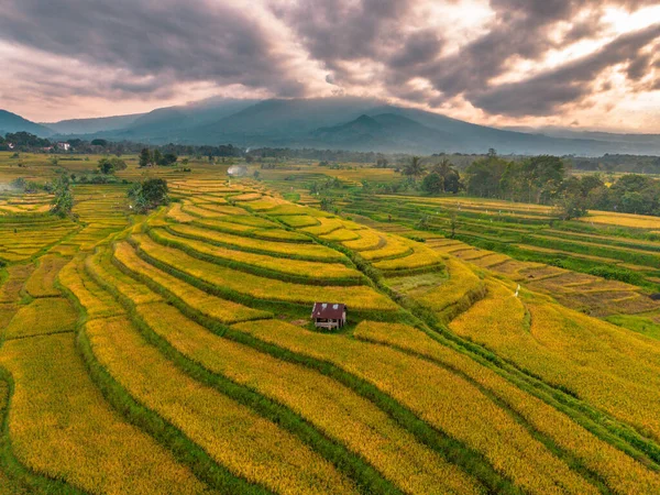 Beautiful morning view indonesia Panorama Landscape paddy fields with beauty color and sky natural light