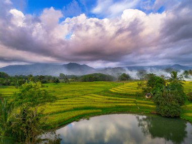 Beautiful morning view indonesia Panorama Landscape paddy fields with beauty color and sky natural light