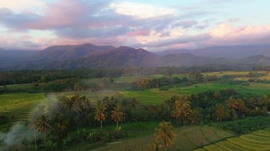 Beautiful morning view indonesia Panorama Landscape paddy fields with beauty color and sky natural light