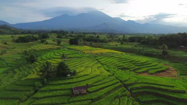 Beautiful morning view indonesia Panorama Landscape paddy fields with beauty color and sky natural light