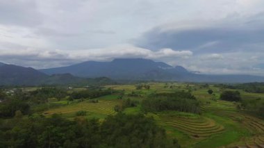 Beautiful morning view indonesia Panorama Landscape paddy fields with beauty color and sky natural light