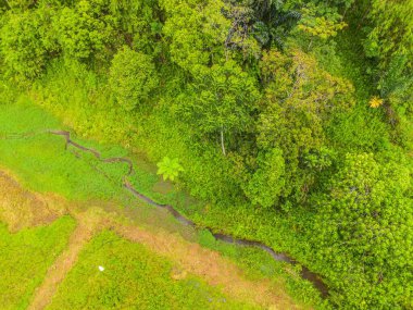 Beautiful morning view indonesia Panorama Landscape paddy fields with beauty color and sky natural light