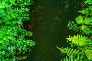 Beautiful morning view indonesia Panorama Landscape paddy fields with beauty color and sky natural light