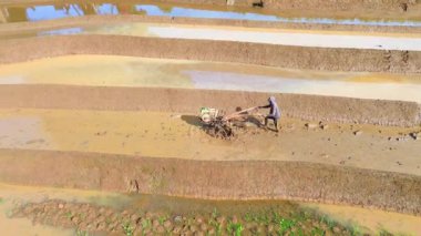 Beautiful morning view indonesia Panorama Landscape paddy fields with beauty color and sky natural light