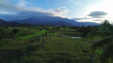 beautiful morning view indonesia panorama landscape paddy fields with beauty color and sky natural light