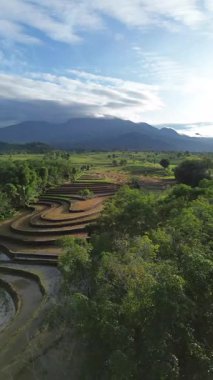beautiful morning view indonesia panorama landscape paddy fields with beauty color and sky natural light