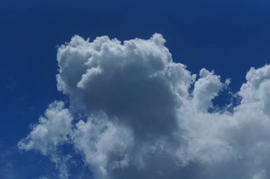 Güzel gökyüzü manzarası. Yumuşak bulutlar ve açık havada yeşil ağaçlar.