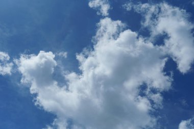 Güzel gökyüzü manzarası. Yumuşak bulutlar ve açık havada yeşil ağaçlar.