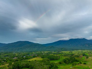 Beautiful morning view indonesia Panorama Landscape paddy fields with beauty color and sky natural light