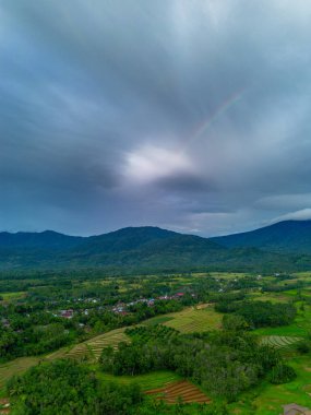 Beautiful morning view indonesia Panorama Landscape paddy fields with beauty color and sky natural light