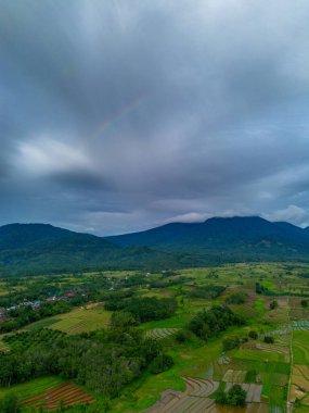 Beautiful morning view indonesia Panorama Landscape paddy fields with beauty color and sky natural light