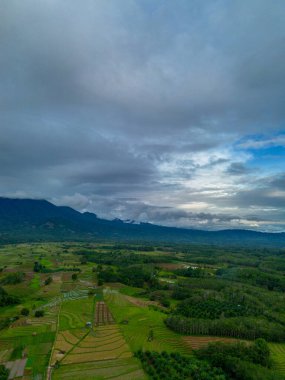 Beautiful morning view indonesia Panorama Landscape paddy fields with beauty color and sky natural light
