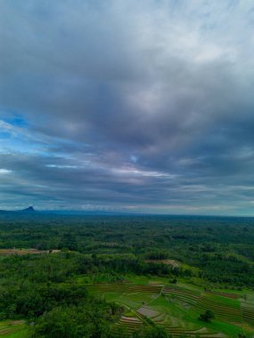 Beautiful morning view indonesia Panorama Landscape paddy fields with beauty color and sky natural light