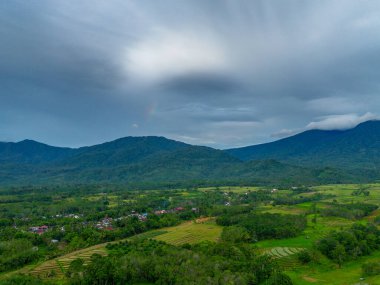Beautiful morning view indonesia Panorama Landscape paddy fields with beauty color and sky natural light