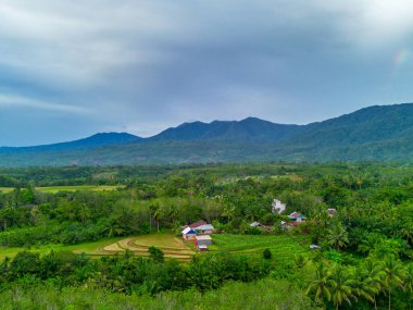 Beautiful morning view indonesia Panorama Landscape paddy fields with beauty color and sky natural light
