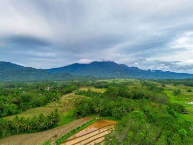 Beautiful morning view indonesia Panorama Landscape paddy fields with beauty color and sky natural light