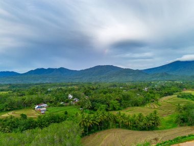 Beautiful morning view indonesia Panorama Landscape paddy fields with beauty color and sky natural light