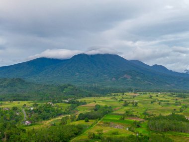 Beautiful morning view indonesia Panorama Landscape paddy fields with beauty color and sky natural light