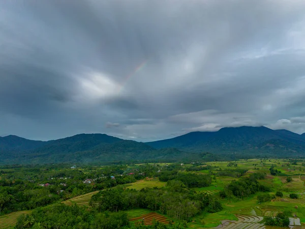 Beautiful morning view indonesia Panorama Landscape paddy fields with beauty color and sky natural light