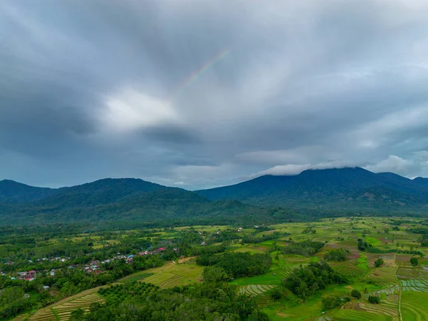Beautiful morning view indonesia Panorama Landscape paddy fields with beauty color and sky natural light