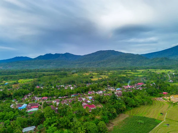 Beautiful morning view indonesia Panorama Landscape paddy fields with beauty color and sky natural light
