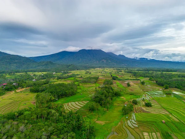Beautiful morning view indonesia Panorama Landscape paddy fields with beauty color and sky natural light