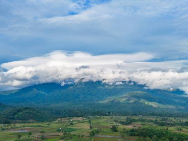 Beautiful morning view indonesia Panorama Landscape paddy fields with beauty color and sky natural light