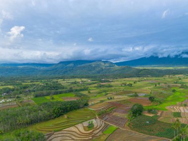 Beautiful morning view indonesia Panorama Landscape paddy fields with beauty color and sky natural light