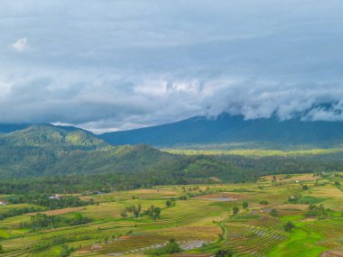 Beautiful morning view indonesia Panorama Landscape paddy fields with beauty color and sky natural light
