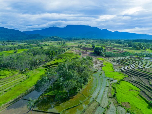Beautiful morning view indonesia Panorama Landscape paddy fields with beauty color and sky natural light