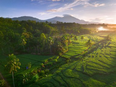 Endonezya 'da güzel bir sabah manzarası, dağ sıraları ve açık gökyüzü olan pirinç tarlalarının panoramik manzarası
