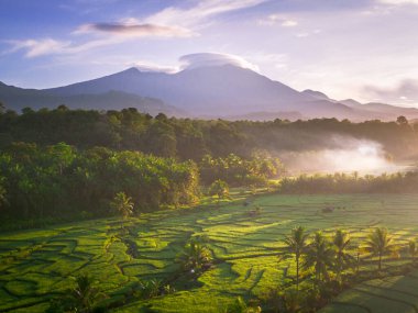 Endonezya 'da güzel bir sabah manzarası, dağ sıraları ve açık gökyüzü olan pirinç tarlalarının panoramik manzarası