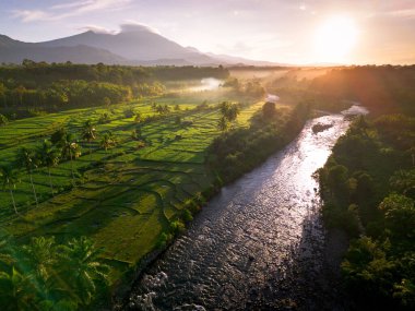 Endonezya 'da güzel bir sabah manzarası, dağ sıraları ve açık gökyüzü olan pirinç tarlalarının panoramik manzarası
