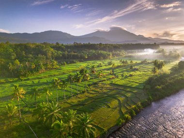Endonezya 'da güzel bir sabah manzarası, dağ sıraları ve açık gökyüzü olan pirinç tarlalarının panoramik manzarası