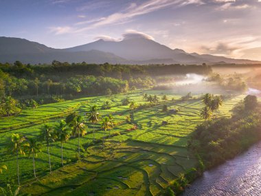 Endonezya 'da güzel bir sabah manzarası, dağ sıraları ve açık gökyüzü olan pirinç tarlalarının panoramik manzarası