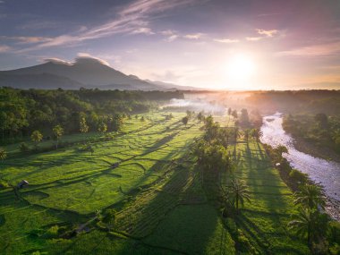 Endonezya 'da güzel bir sabah manzarası, dağ sıraları ve açık gökyüzü olan pirinç tarlalarının panoramik manzarası