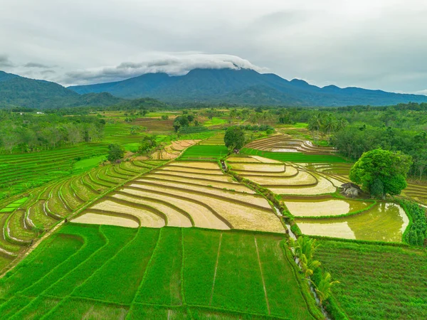 Endonezya 'da güzel bir sabah manzarası, dağ sıraları ve açık gökyüzü olan pirinç tarlalarının panoramik manzarası