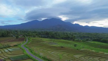 Endonezya 'da güzel bir sabah manzarası, dağ sıraları ve açık gökyüzü olan pirinç tarlalarının panoramik manzarası