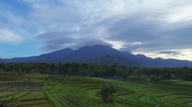 Endonezya 'da güzel bir sabah manzarası, dağ sıraları ve açık gökyüzü olan pirinç tarlalarının panoramik manzarası