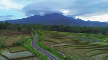 Endonezya 'da güzel bir sabah manzarası, dağ sıraları ve açık gökyüzü olan pirinç tarlalarının panoramik manzarası