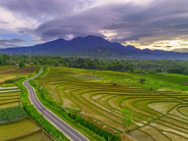 Endonezya 'da güzel bir sabah manzarası, dağ sıraları ve açık gökyüzü olan pirinç tarlalarının panoramik manzarası