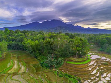 Endonezya 'da güzel bir sabah manzarası, dağ sıraları ve açık gökyüzü olan pirinç tarlalarının panoramik manzarası