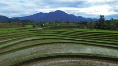 Endonezya 'da güzel bir sabah manzarası, dağ sıraları ve açık gökyüzü olan pirinç tarlalarının panoramik manzarası